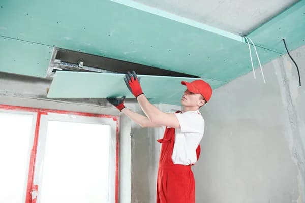 Gypsum Carpenter